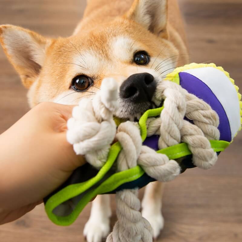 Jouet en Corde de Coton pour Chiens - Image 2