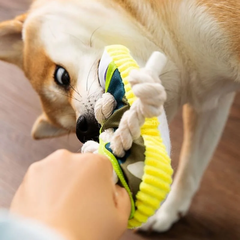 Jouet en Corde de Coton pour Chiens - Image 4