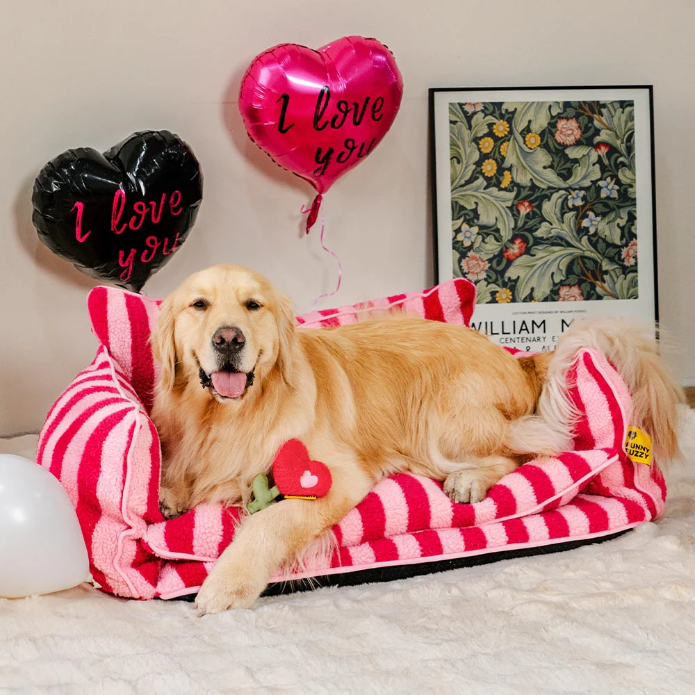 Jouet en peluche rose à couinement pour chien spécial Saint-Valentin FUNNYFUZZY - Image 3