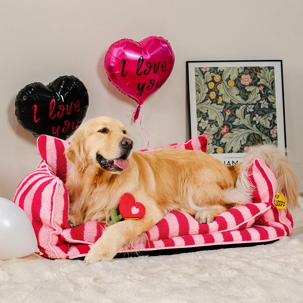 Jouet en peluche rose à couinement pour chien spécial Saint-Valentin FUNNYFUZZY - Image 4