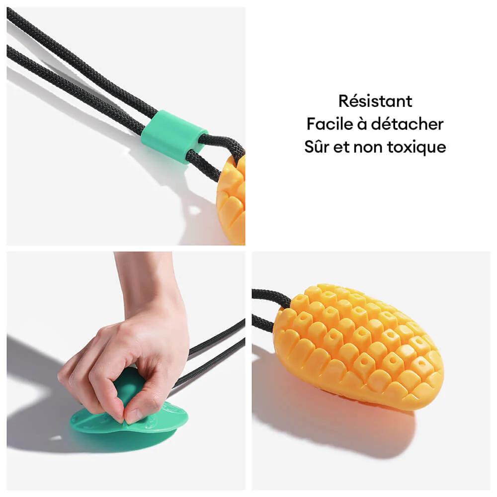 Jouet pour Chien à Ventouse - Mangue - Image 6