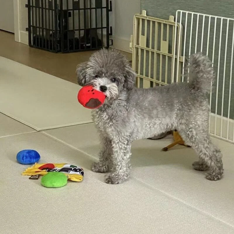 Jouets en Peluche Bonbon Alimentaire Tibétain pour Chien - Image 3