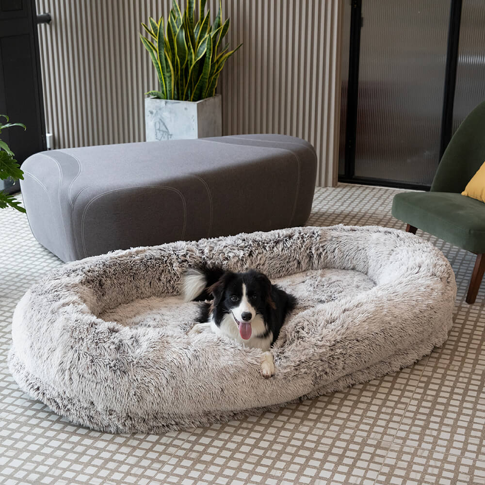 Lit de luxe super large pour humain et chien - Image 16