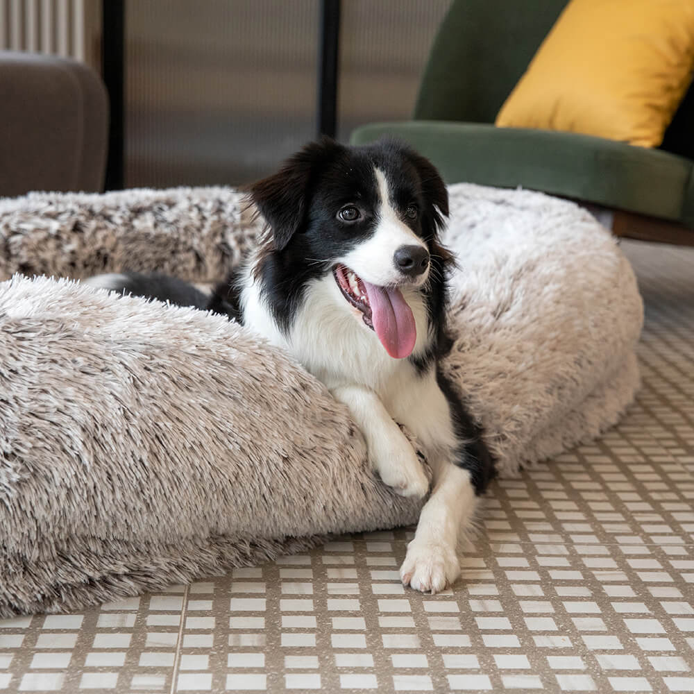 Lit de luxe super large pour humain et chien - Image 17