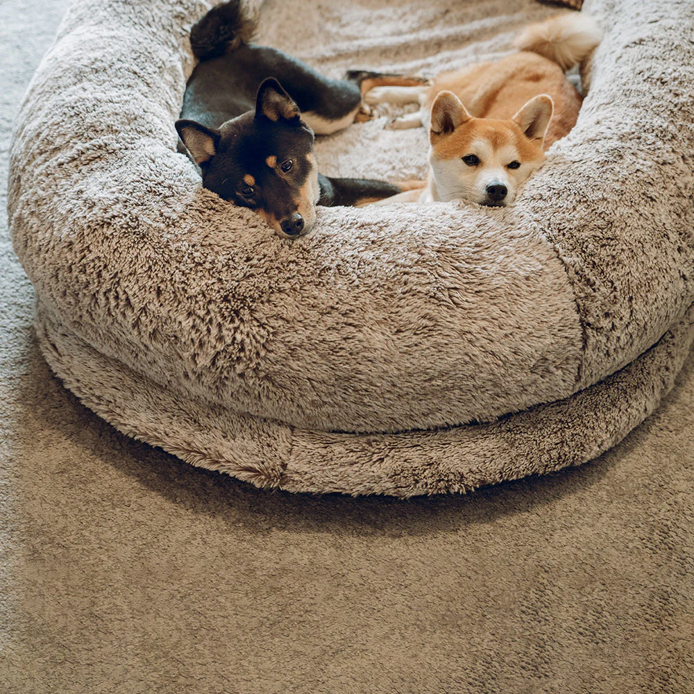 Lit de luxe super large pour humain et chien - Image 18