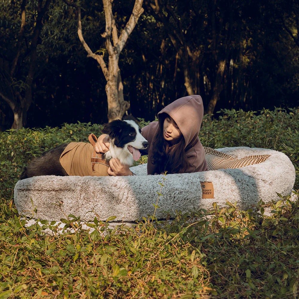 Lit de luxe super large pour humain et chien - Image 20