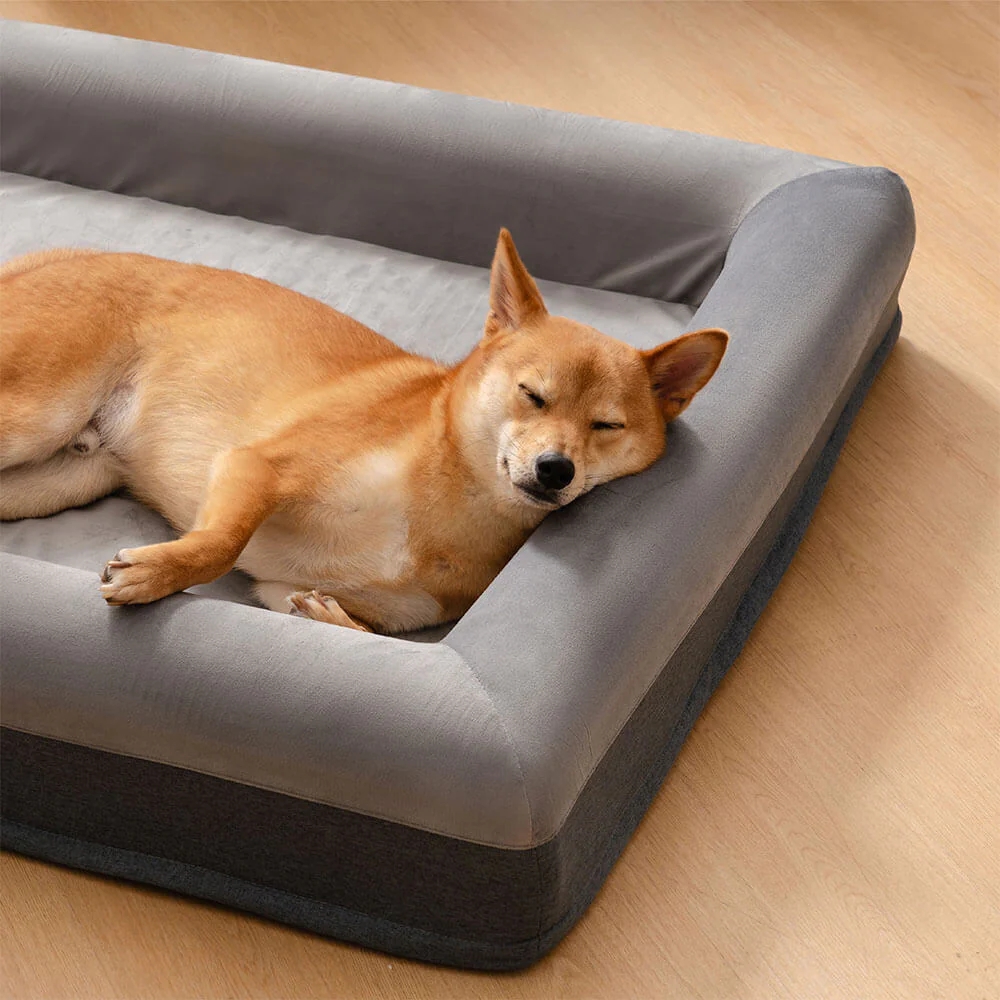 Lit Orthopédique Premium pour Chien - Sommeil Paisible et Jeu Joyeux dans le Lit à Creuser - Image 3