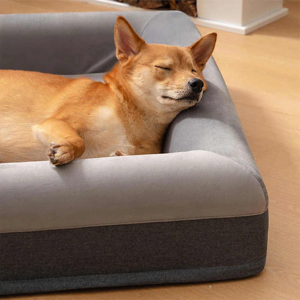 Lit Orthopédique Premium pour Chien - Sommeil Paisible et Jeu Joyeux dans le Lit à Creuser - Image 5