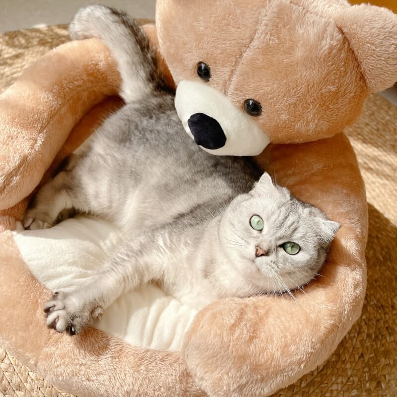 Lit pour chat détachable en forme d'ours - Image 3