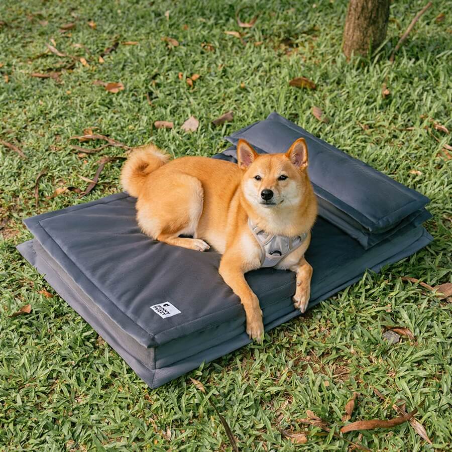 Lit pour chien anti-anxiété avec support en mousse pour sommeil profond - Image 11