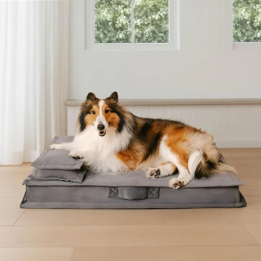 Lit pour chien anti-anxiété avec support en mousse pour sommeil profond - Image 12