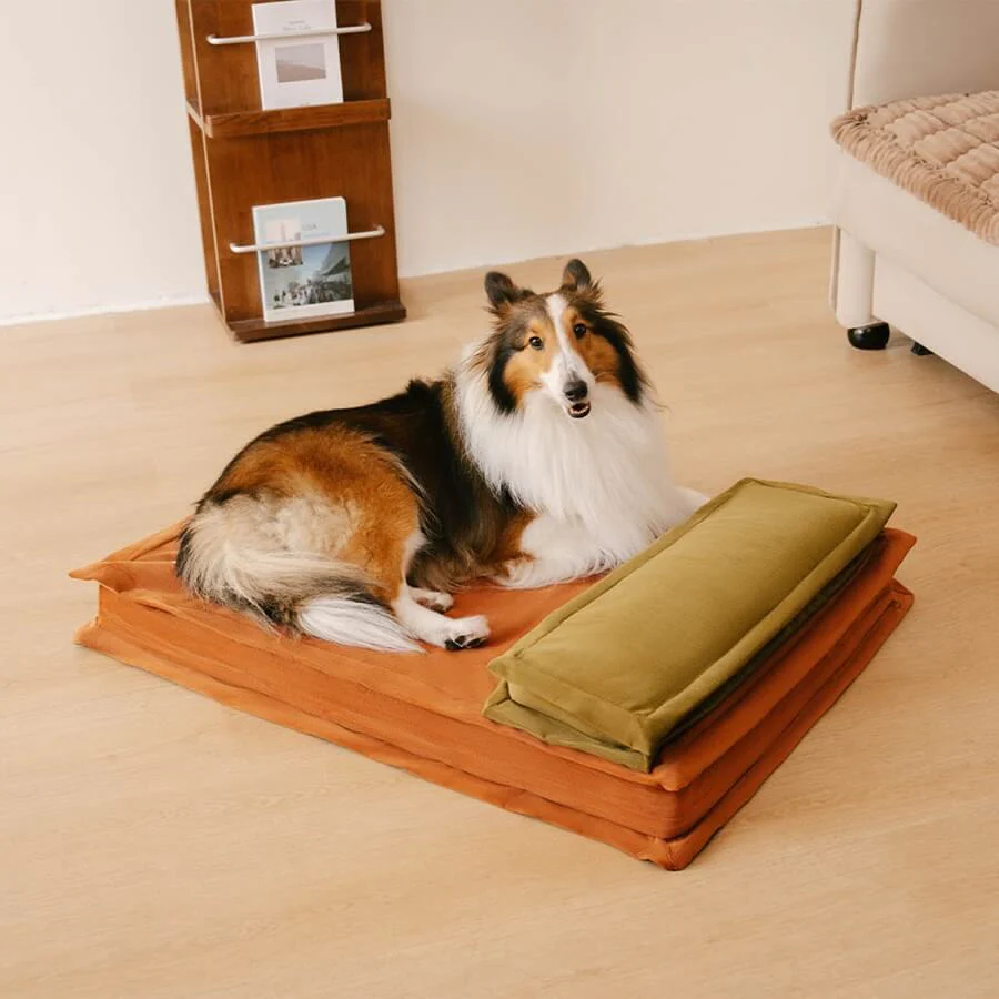Lit pour chien anti-anxiété avec support en mousse pour sommeil profond - Image 13