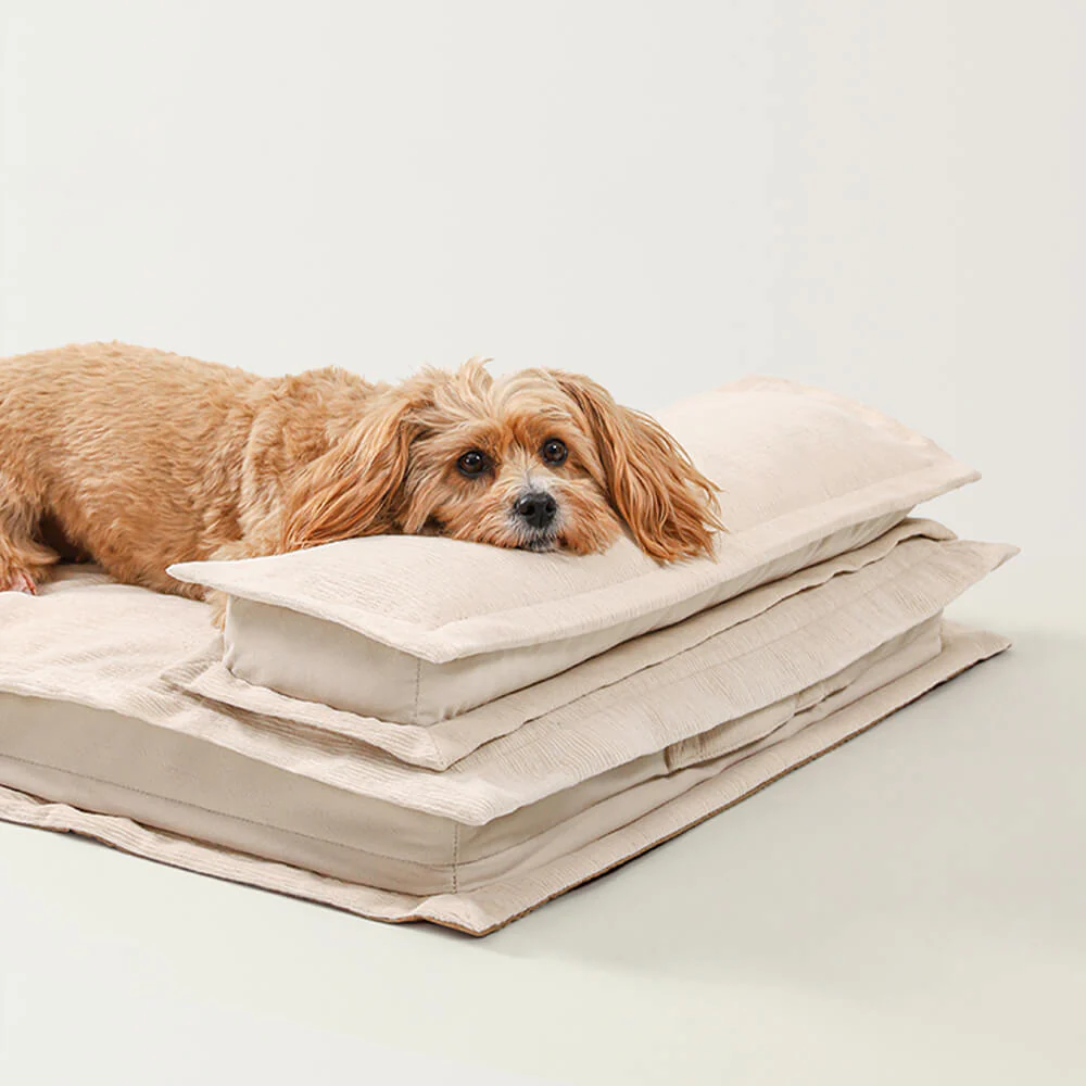 Lit pour chien anti-anxiété avec support en mousse pour sommeil profond - Image 16