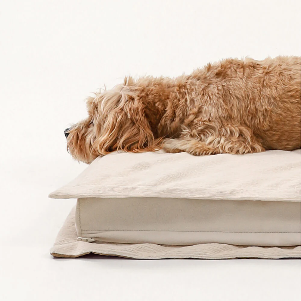 Lit pour chien anti-anxiété avec support en mousse pour sommeil profond - Image 18