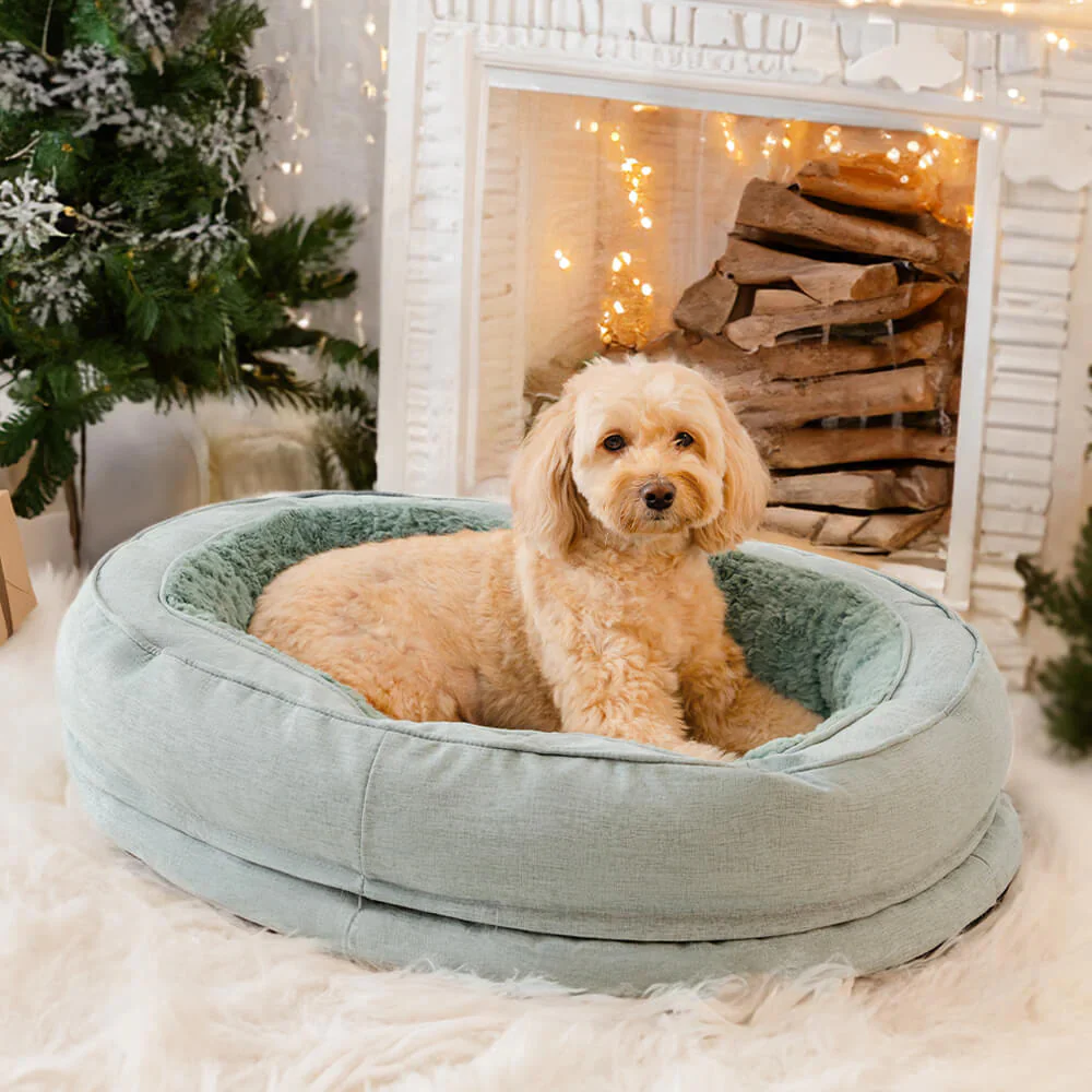 Lit orthopédique pour chien, lavable en machine, apaisant et confortable - Beignet - Image 12