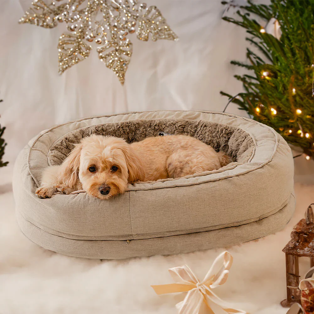Lit orthopédique pour chien, lavable en machine, apaisant et confortable - Beignet - Image 13