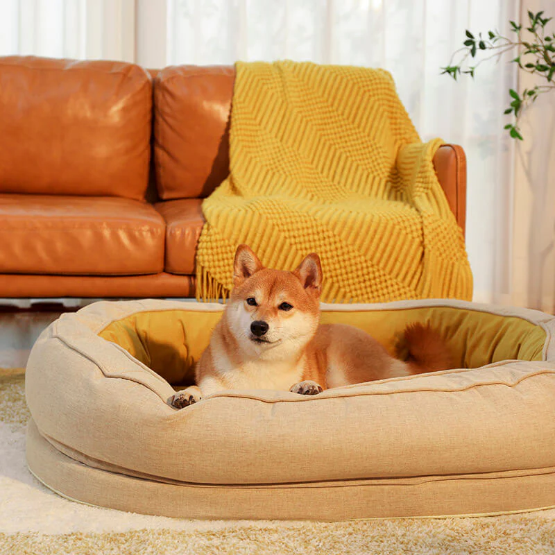 Lit orthopédique pour chien, lavable en machine, apaisant et confortable - Beignet - Image 17