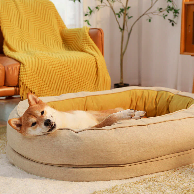 Lit orthopédique pour chien, lavable en machine, apaisant et confortable - Beignet - Image 18