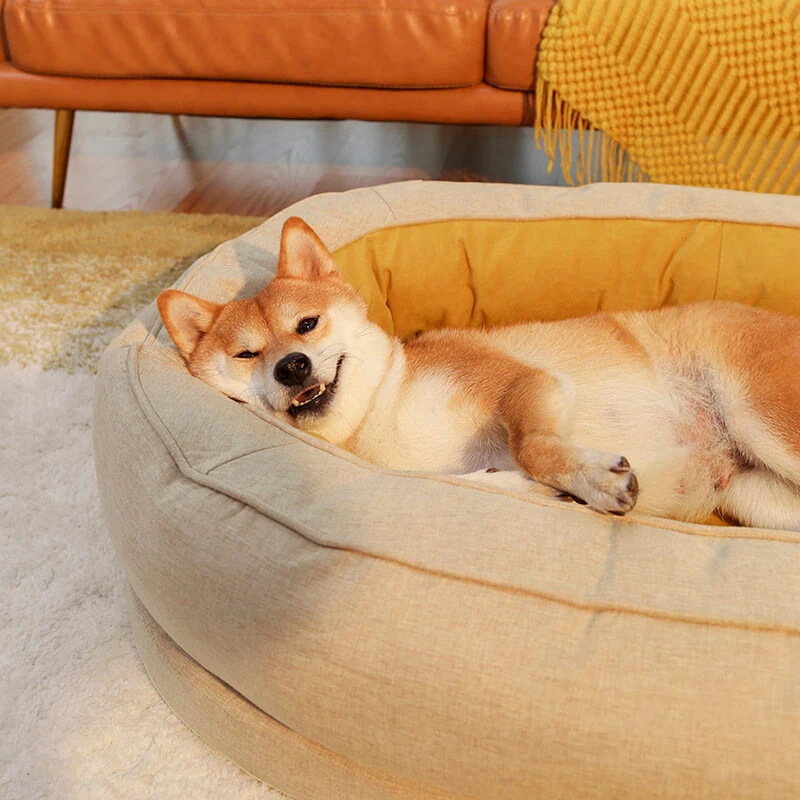 Lit orthopédique pour chien, lavable en machine, apaisant et confortable - Beignet - Image 19