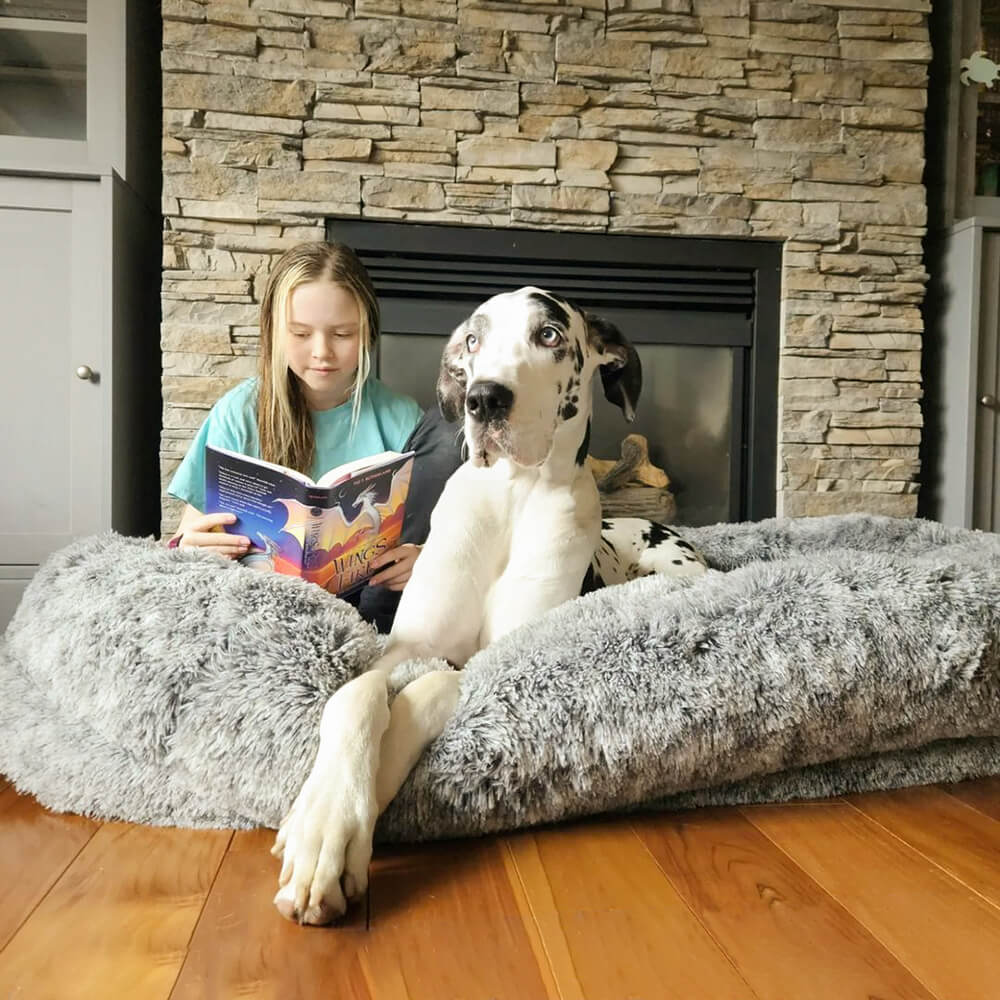 Lit orthopédique pour chien, lavable en machine, apaisant et confortable - Beignet - Image 23