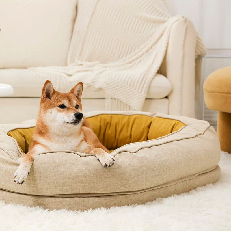 Lit orthopédique pour chien, lavable en machine, apaisant et confortable - Beignet - Image 3
