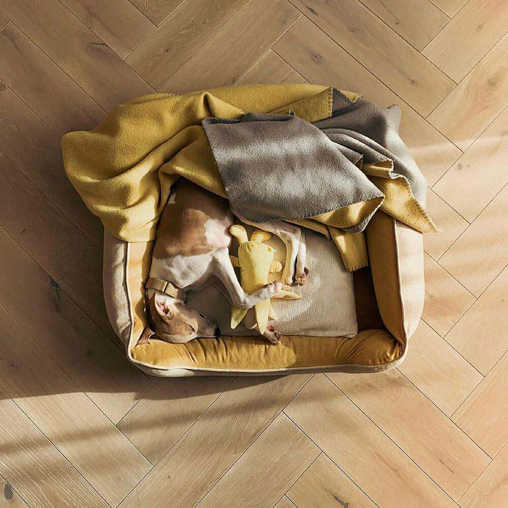 Lit pour chien - Pain de mie - Image 12