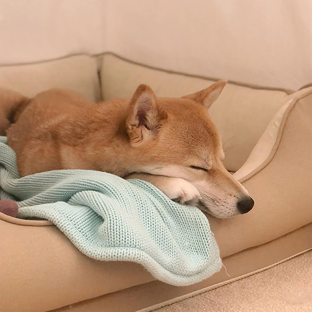 Lit pour chien - Pain de mie - Image 7