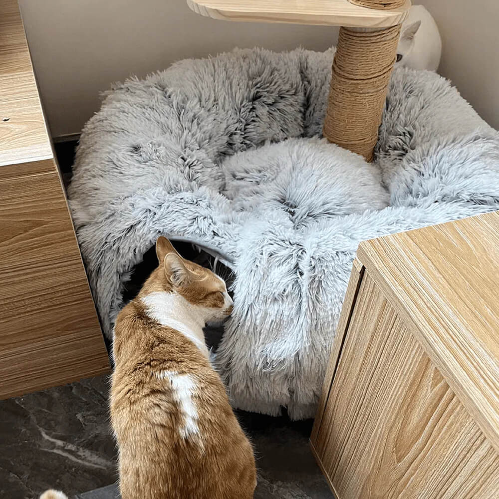 Lit tunnel d'intérieur pour chat rond et doux pliable 2 en 1 - Image 9