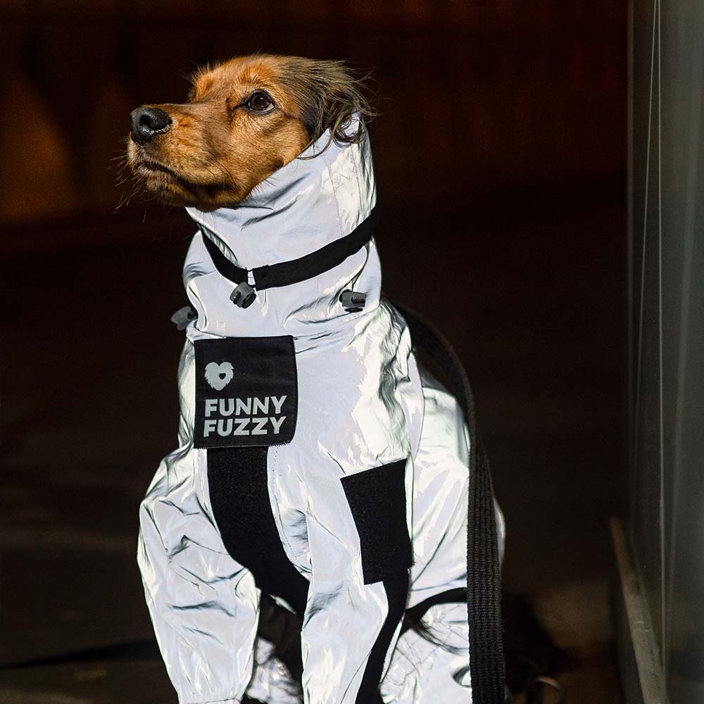 Manteau imperméable réfléchissant Manteau de pluie pour chien - Image 11