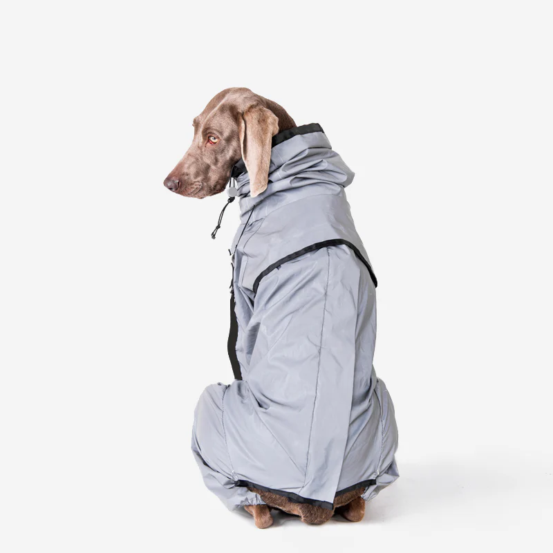 Manteau imperméable réfléchissant Manteau de pluie pour chien - Image 12