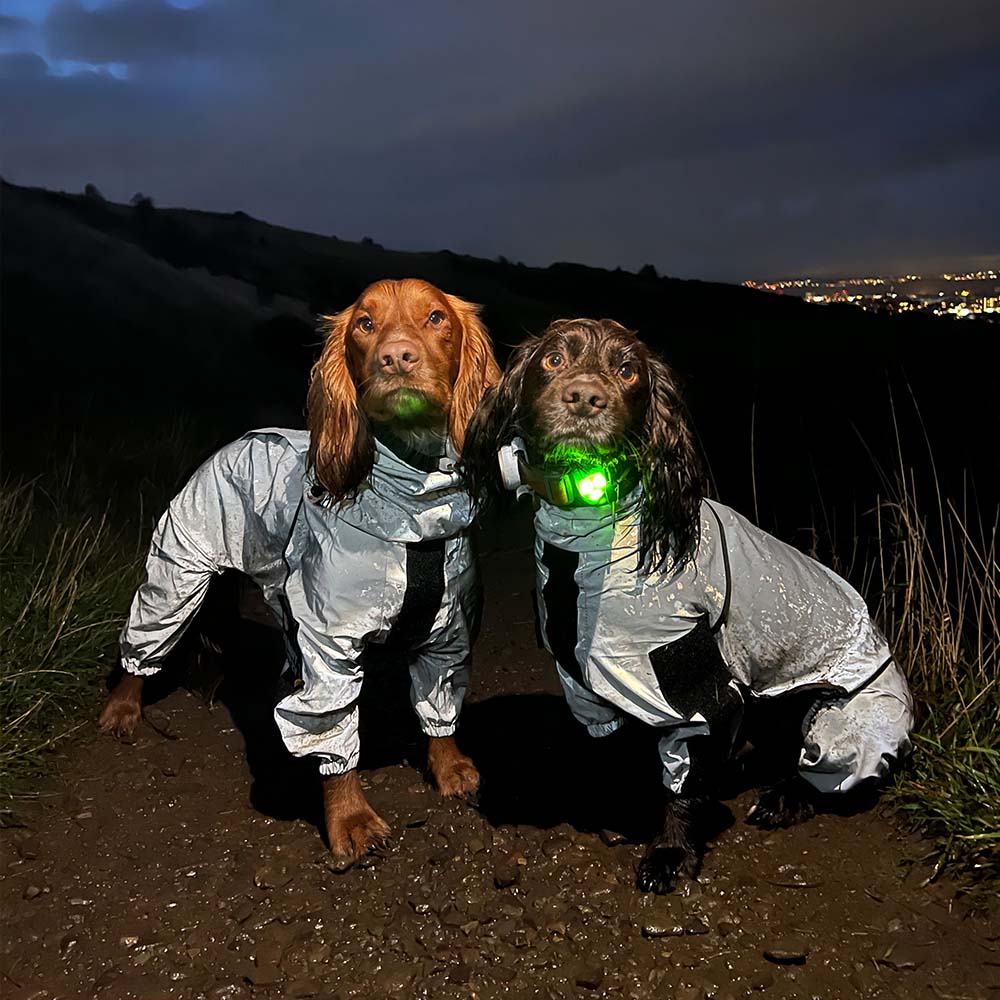 Manteau imperméable réfléchissant Manteau de pluie pour chien - Image 13