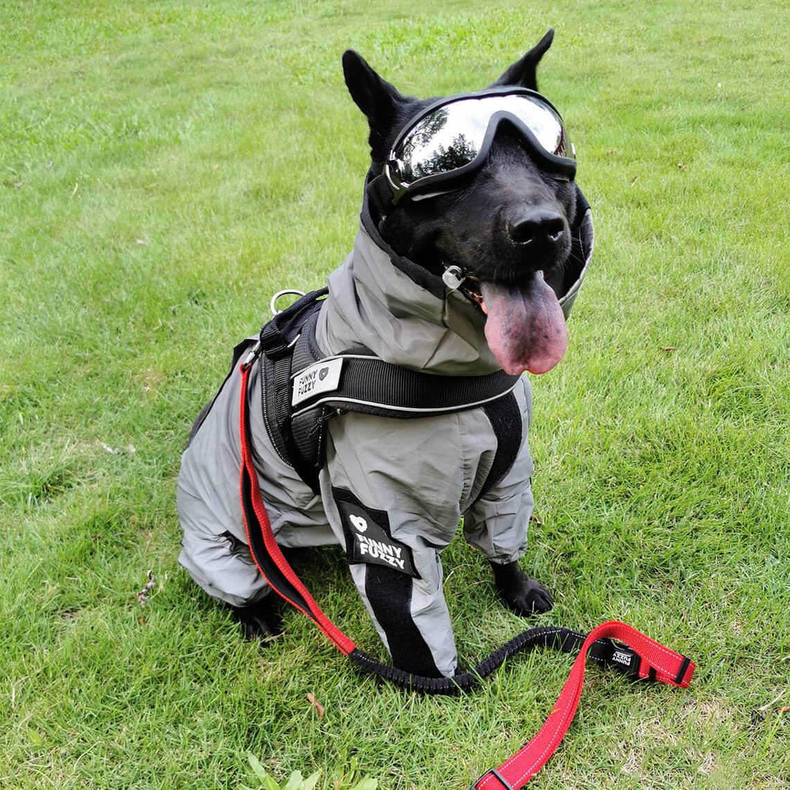 Manteau imperméable réfléchissant Manteau de pluie pour chien - Image 15