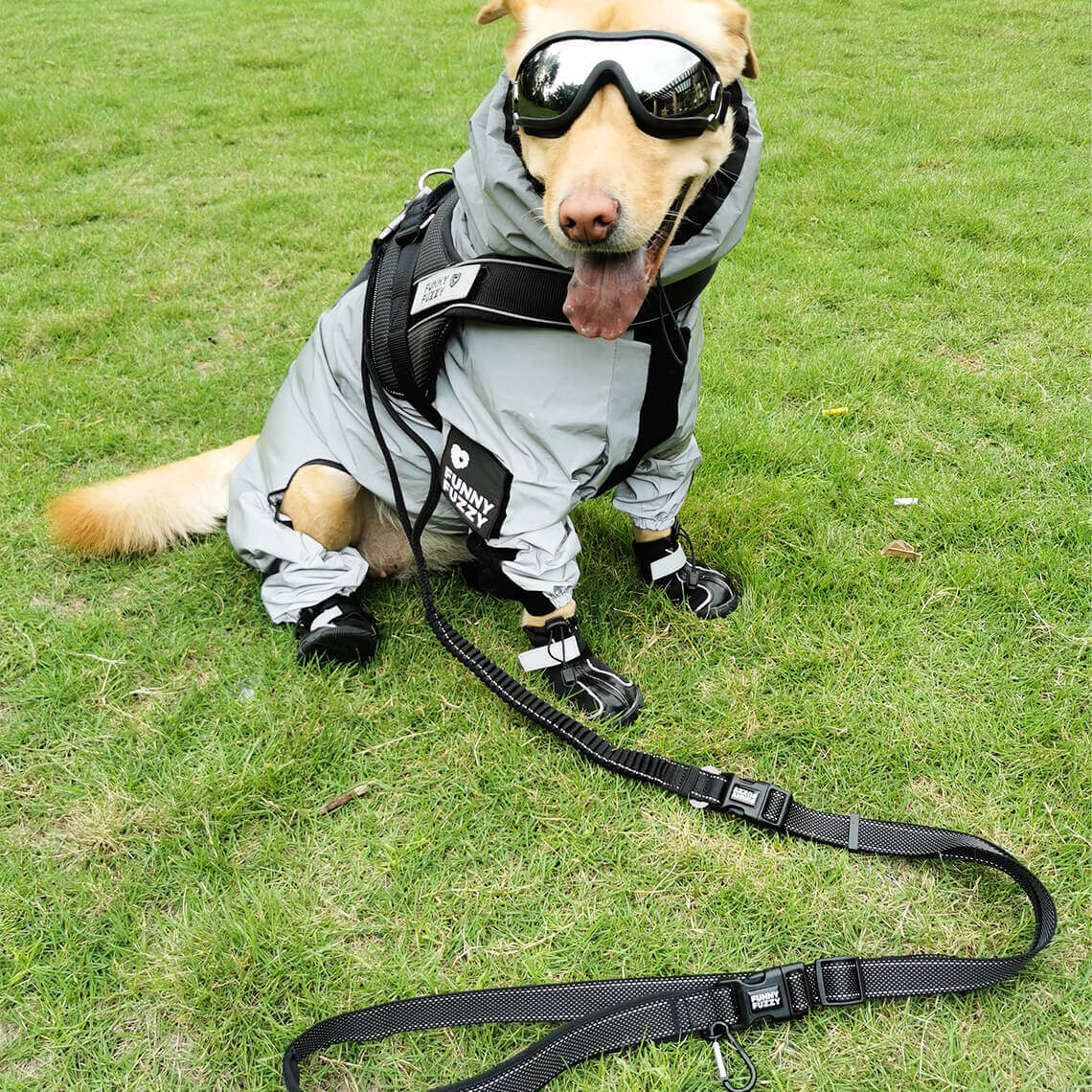 Manteau imperméable réfléchissant Manteau de pluie pour chien - Image 16