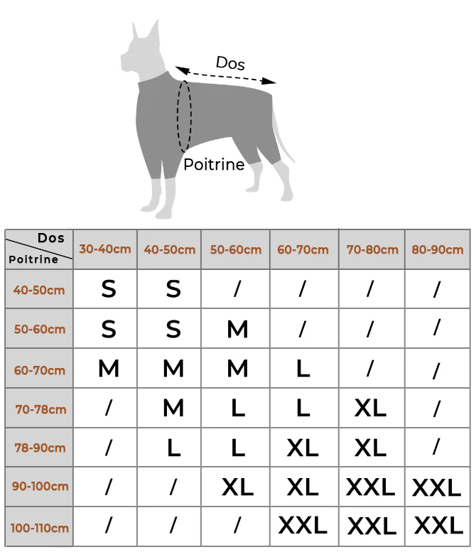 Manteau imperméable réfléchissant Manteau de pluie pour chien - Image 17