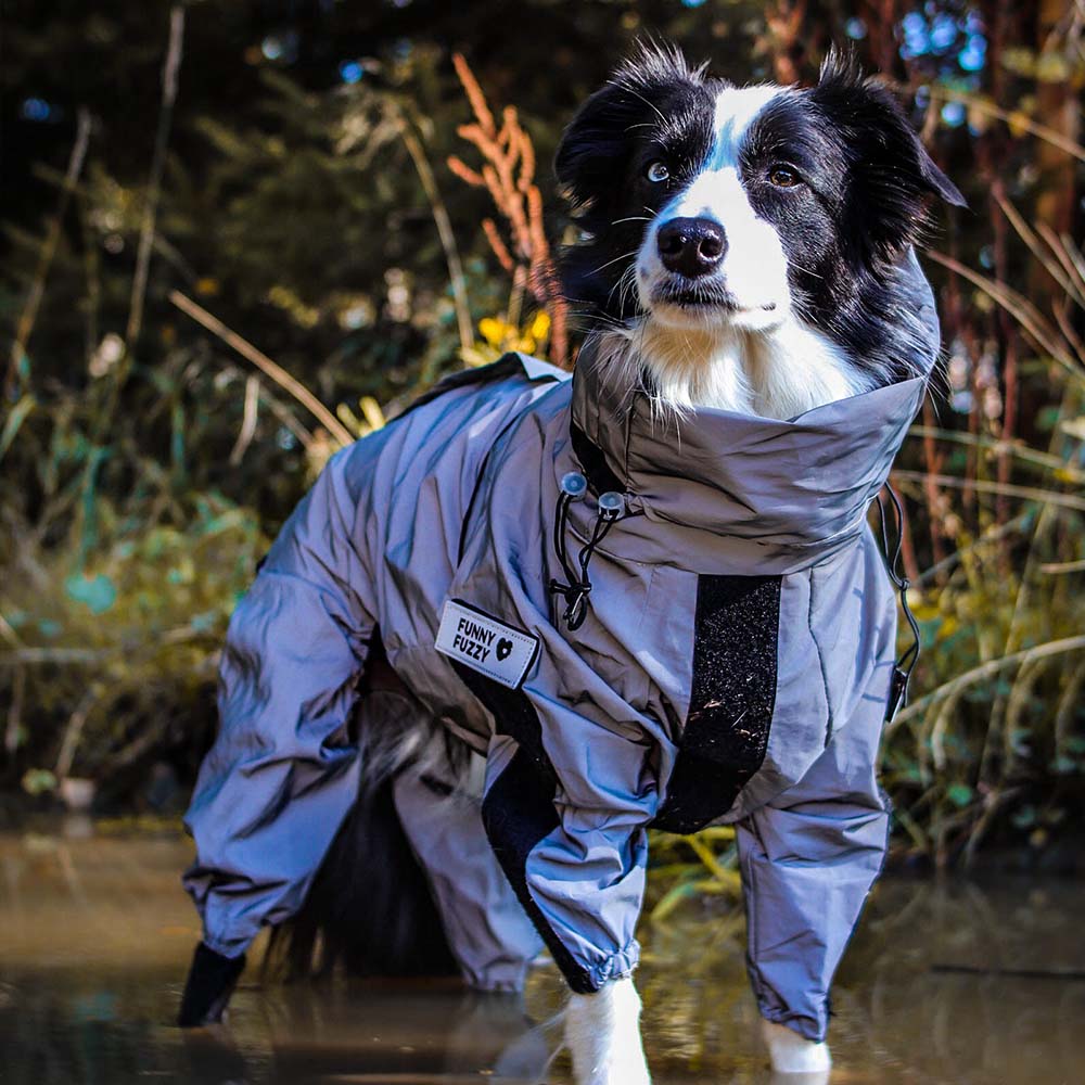 Manteau imperméable réfléchissant Manteau de pluie pour chien - Image 3