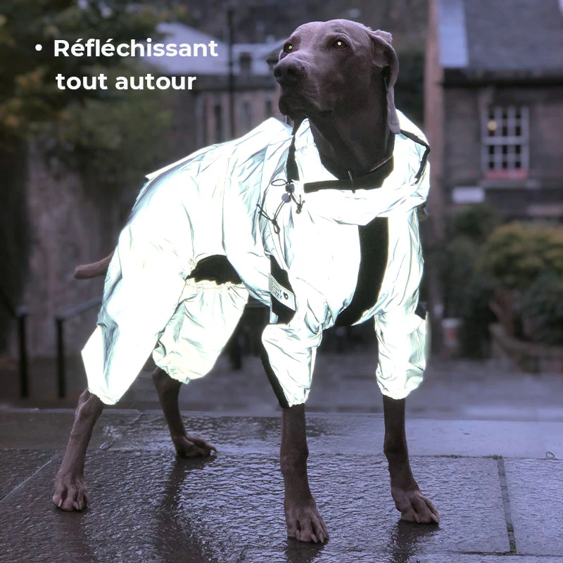 Manteau imperméable réfléchissant Manteau de pluie pour chien - Image 4