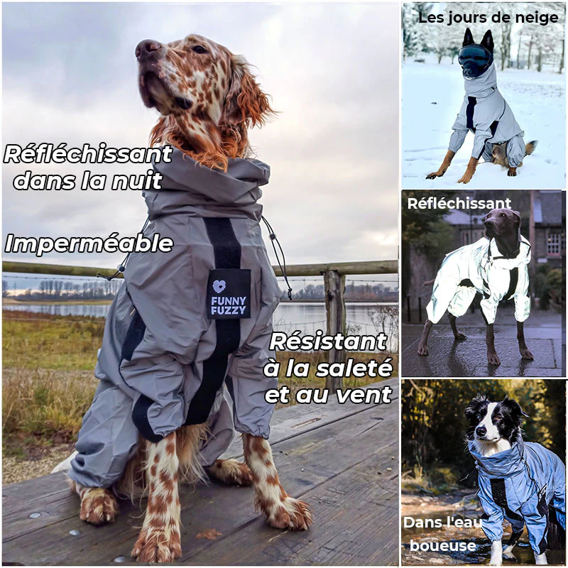 Manteau imperméable réfléchissant Manteau de pluie pour chien - Image 5