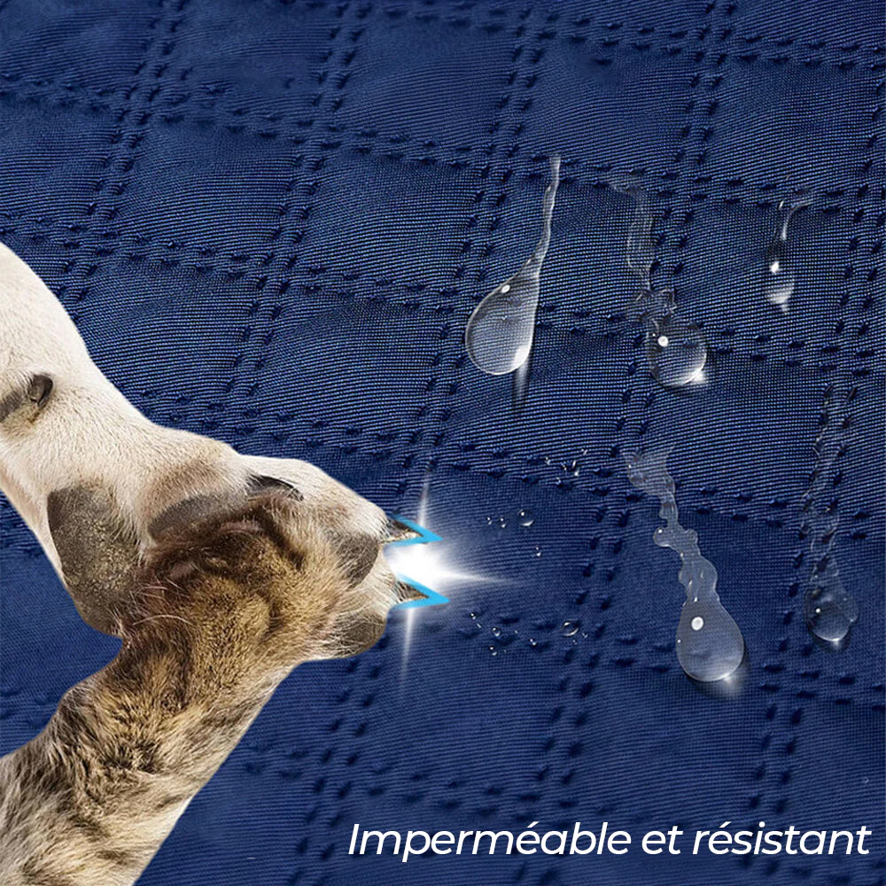 Protection de siège auto pour chien étanche résistant aux salissures et aux griffures - Image 6