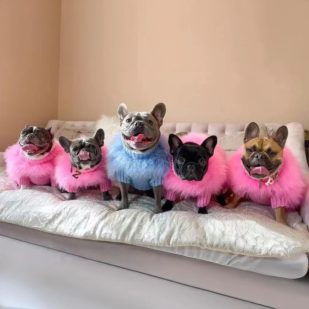 Pull à col roulé en tricot doux et moelleux pour chien - Image 8