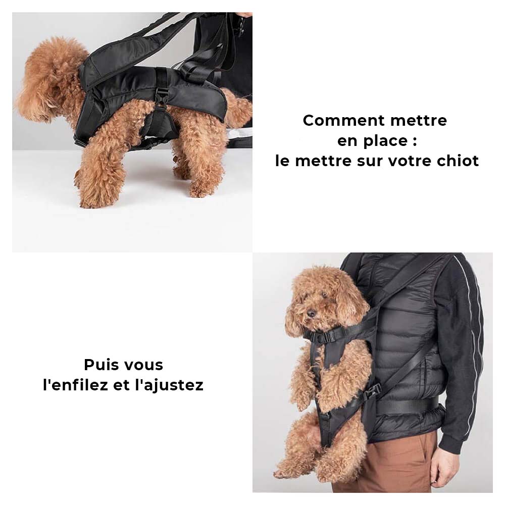 Sac à dos de transport pour chien - Cockpit - Image 6