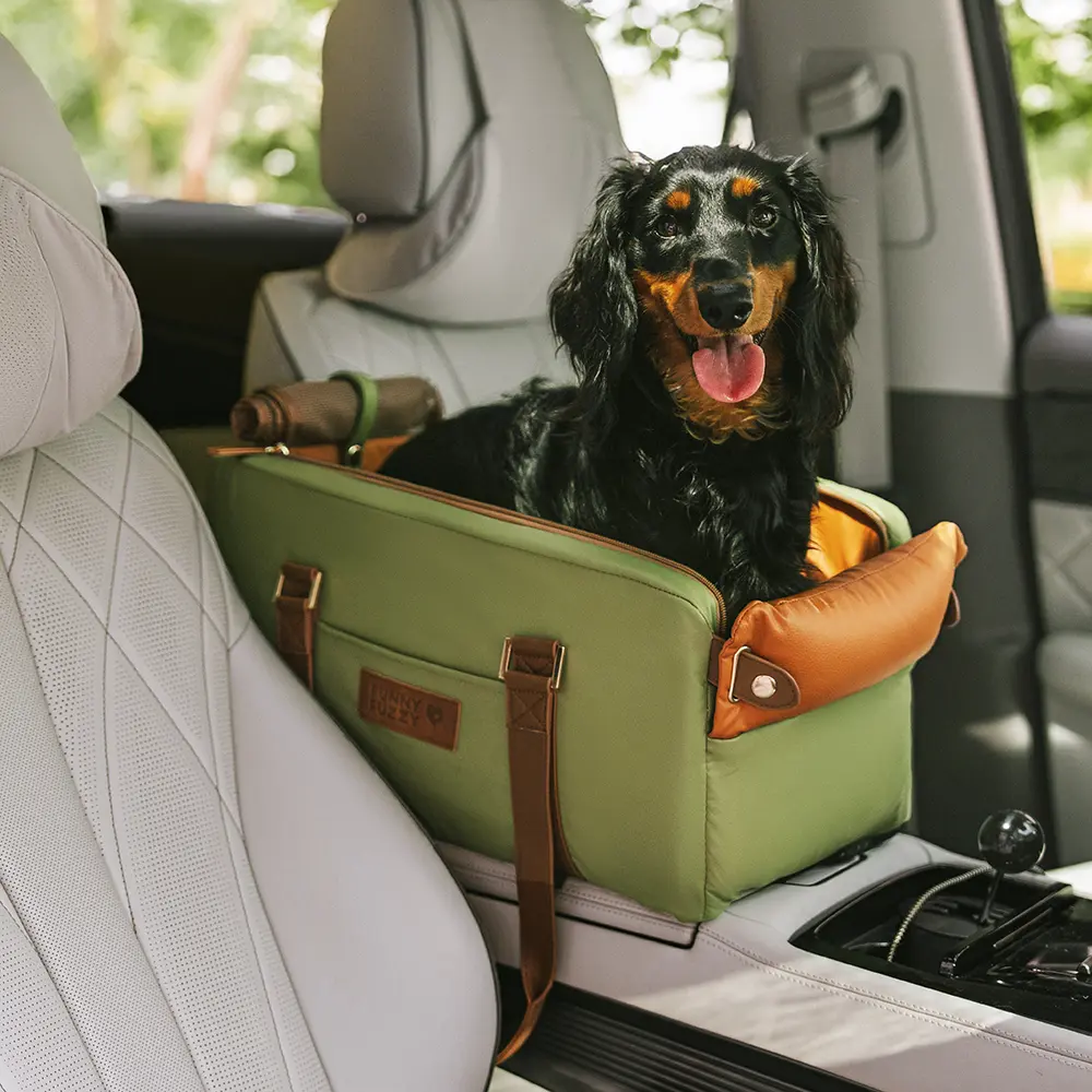 Essentiels auto – Nouveautés