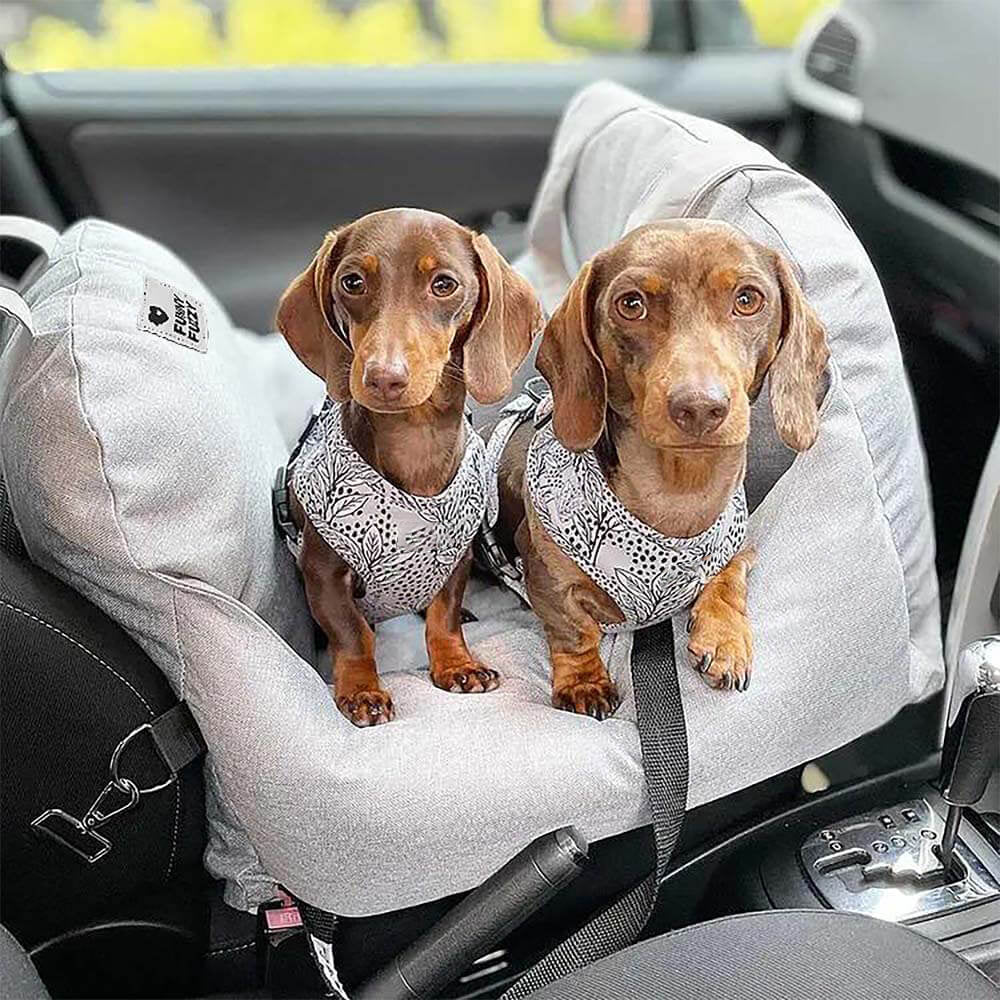 Siège de voiture pour chien à damier vintage et cœur - Image 25