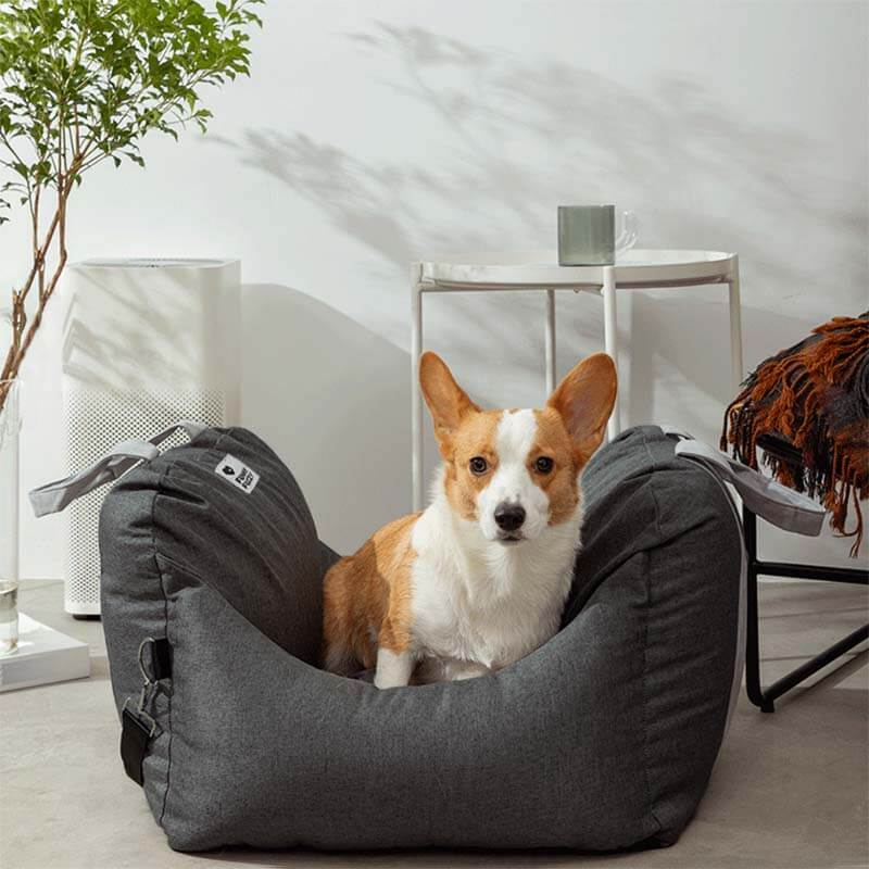 Siège auto pour chien - Première Classe - Image 11