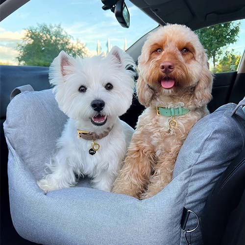 Siège auto pour chien - Première Classe - Image 20