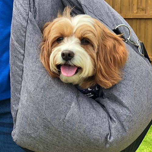 Siège auto pour chien - Première Classe - Image 23