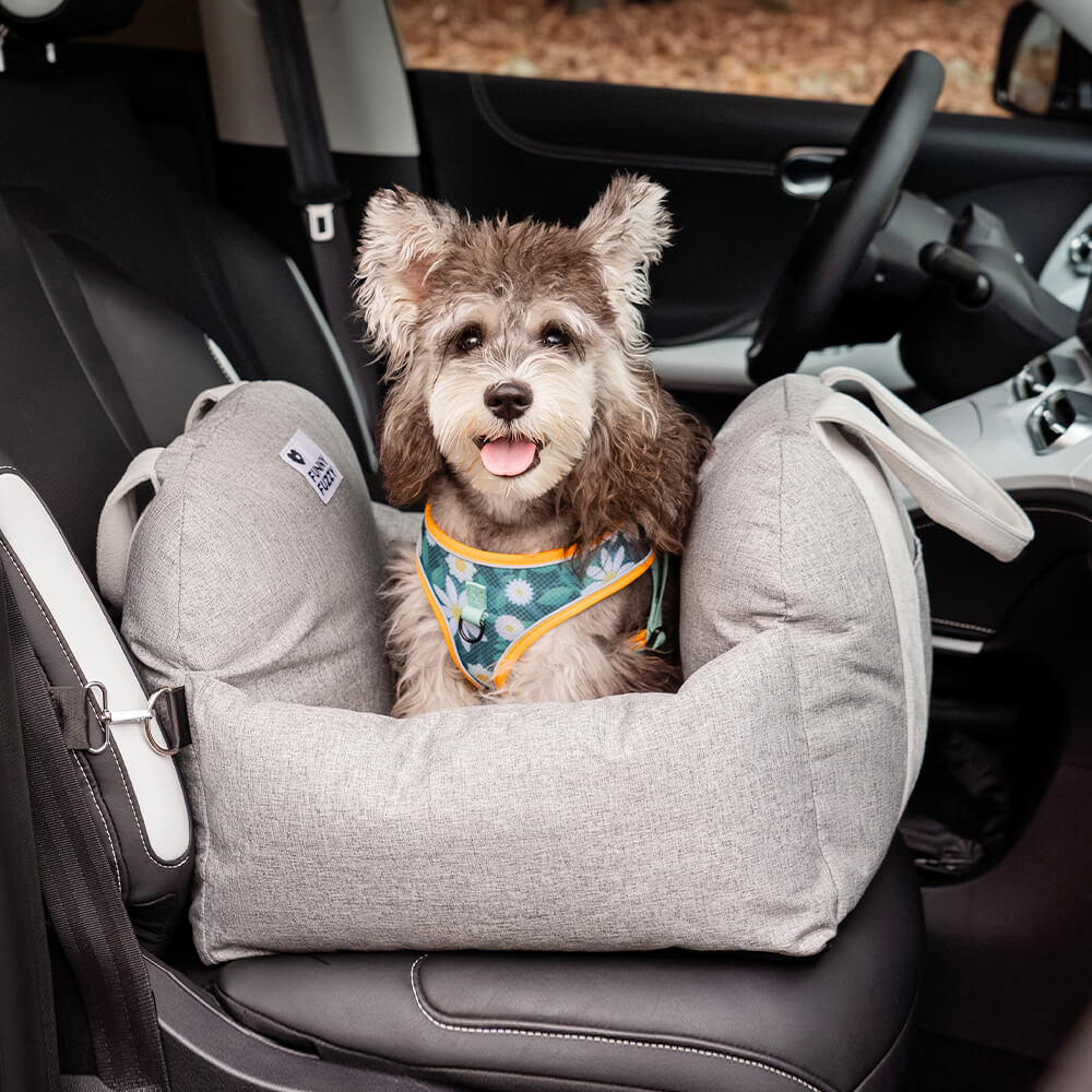 Siège auto pour chien - Première Classe - Image 24