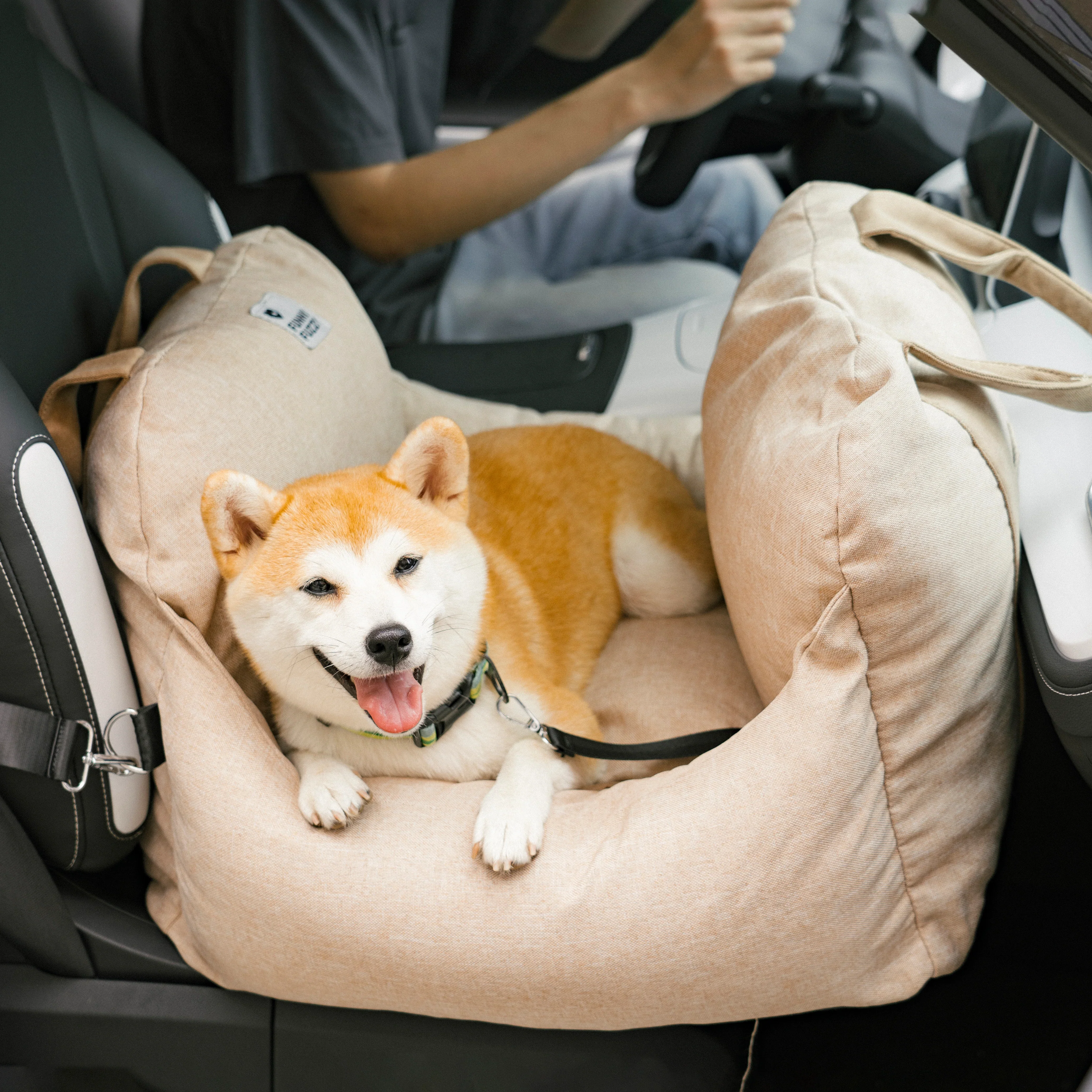 Siège auto pour chien - Première Classe - Image 4