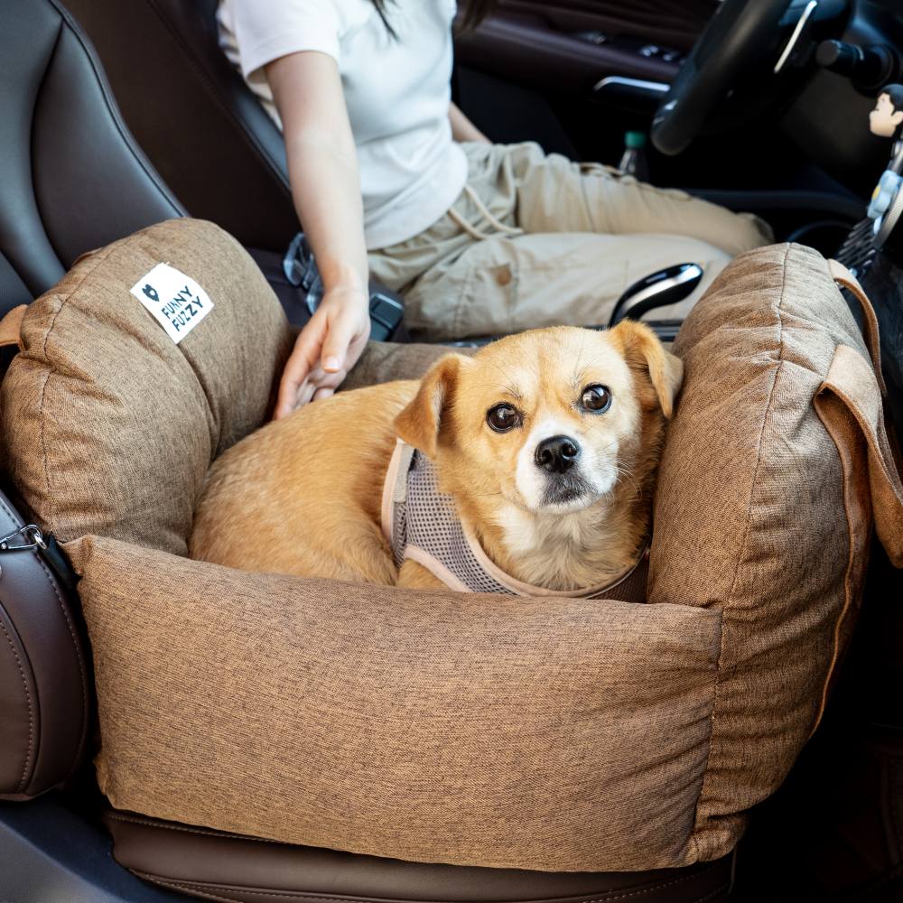 Siège auto pour chien - Première Classe - Image 45