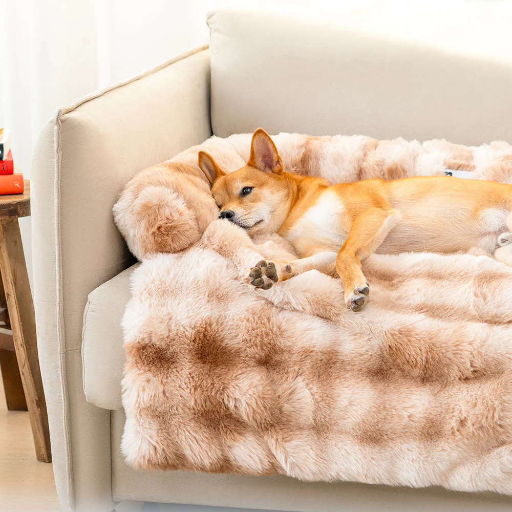 Tapis Protecteur Douillet pour Chien - Image 6