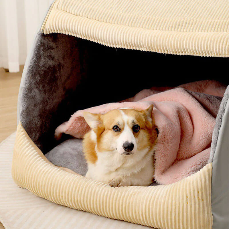 Tente semi-fermée pour chien en flanelle chaude et amovible - Image 4